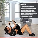 Finnlo Bauchtrainer AB DOMINOX inkl. POWER BELT - 2