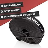 VIA FORTIS Premium Fitnessbänder mit praktischer Tasche – Klimmzug-Band für CrossFit Calisthenics oder Freeletics Workout – Resistance Band / Widerstandsband in verschiedenen Größen - 2