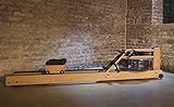 WaterRower Rudergerät (Doppelte Schiene) - 6