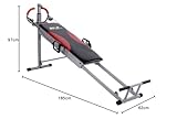 Christopeit Total Exerciser TE 1, silber/schwarz, 1251 - 10