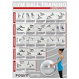 Gymnastikball - Workout Übungsposter DIN A1 Beginner Training Poster