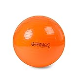 Pezziball Gymnastikball Set 65 cm grün, 42 cm gelb, 53 cm orange,75 cm rot, inkl. Original Pezzi Ballpumpe
