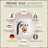 PROFUEL® Alphaminos BCAA-Pulver - 2