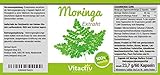MORINGA 450mg Kapseln – Die günstige Alternative (60 Moringa Oleifera Kapseln – Monatspackung) - 2