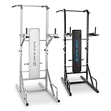 Capital Sports Multi Tower Multistation Kraftstation Powertower Kraftsportturm Heimtrainer Dip-Station (Klimmzüge, Bankdrücken, Dip-Trainer, Liegestütze, hochklappbare Trainingsbank) - 8