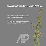 Cissus Quadrangularis Extrakt 2500 mg – 20% Ketosterone (90 vegane Kapseln) - 5