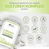 Probiotika Kulturen Komplex -Kapseln 10 Milliarden KBE 180 Kapseln (6 -Monats-Versorgung) 100 % Geld zurück Garantie Kostenlose Lieferung – Lactobacillus , Acidophilus – Für gesundes Verdauungssystem – Keine künstlichen Zutaten – für Vegetarier geeignet - 7