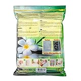 100 x Vita Patchy® Vitalpflaster Gold mit hochwertigem Turmalin Fusspflaster Pflaster Pad Entgiften Entgiftung Detox - 2