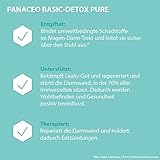 Panaceo BASIC DETOX Pulver 400g - 4