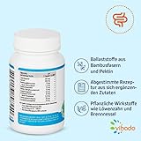 Vihado Ballaststoffe – Chlorella + Acai + Apfelpektin + Brennessel + Fingertang + Löwenzahnwurzel + Kardamom + Bambusfaser, 60 Kapseln, 1er Pack (1 x 30,6 g) - 2