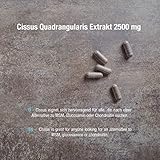 Cissus Quadrangularis Extrakt 2500 mg – 20% Ketosterone (90 vegane Kapseln) - 6