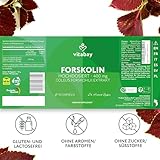 Forskolin Coleus Forskohlii Extrakt 400 mg – 90 Vegane Kapseln - 7