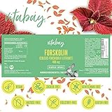 Forskolin Coleus Forskohlii Extrakt 400 mg – 90 Vegane Kapseln - 8