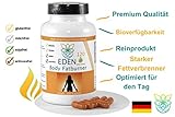 VITARAGNA Eden Body Fatburner Ning-Hong 120 Kapseln, Fettverbrenner Diät-Pillen bzw Abnehm-Pillen mit L-Carnitin & Bitterorange, natürlich abnehmen bei Bauchfett clean, glutenfrei, sojafrei, milchfrei - 3