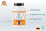 VITARAGNA Eden Body Fatburner Ning-Hong 120 Kapseln, Fettverbrenner Diät-Pillen bzw Abnehm-Pillen mit L-Carnitin & Bitterorange, natürlich abnehmen bei Bauchfett clean, glutenfrei, sojafrei, milchfrei - 4