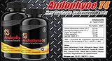 Andophyne T4 (90 Kapseln) Fatburner Komplex, Die nächste Generation der Energie- und Gewichtsverlust-Produkte, Stoffwechsel Diät, Fettreduktion + Appetitzügler - 6