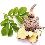 Glucomannan-Drink zum Abnehmen – 540 Gramm – Neutral – Nutri-Plus Gluco Form mit 100% Konjak-Extrakt - 5