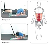 eaglefit® Sling Trainer professional – Schlingentrainer, Functional Training – Modell 2016 - 2