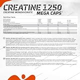 Olimp Creatine 1250 Mega Caps, 120 Kapseln - 2