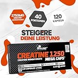 Olimp Creatine 1250 Mega Caps, 120 Kapseln - 3