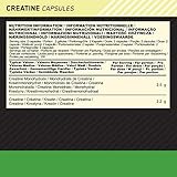 Optimum Nutrition Creatine 2500 200 Kapseln, 1er Pack (1 x 250 g) - 7