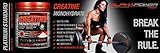 ALPHAPOWER FOOD® – ALPHAPURE® SERIES: CREATINE MONOHYDRATE 100% PURE MICRONIZED POWDER TO >200 MESH – FREE FLOW GRADE, Pure mikronisiertes, Kreatin Pulver ( Creatin Pulver ) (1x1000g Dose Abbildung 1) für 200 Anwendungen / 200 Servings - 4