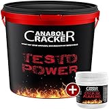 Testo Power, Protein Creatin, 2600g Dose, Frucht Geschmack + 240 Creatin Alkaline Kapseln, Anabol Cracker