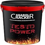 Testo Power, Protein Creatin, 2600g Dose, Frucht Geschmack + 240 Creatin Alkaline Kapseln, Anabol Cracker - 4